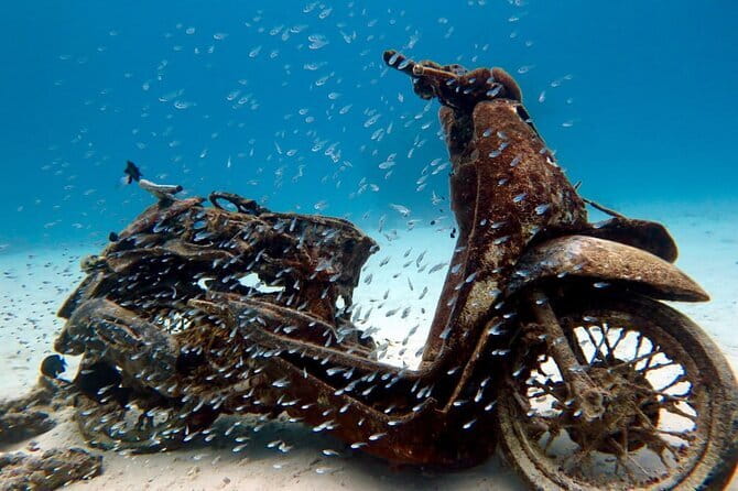 2 Fun Dives in Racha Yai or Noi for Certified Divers - Two underwater sessions: how the timing actually helps you enjoy it