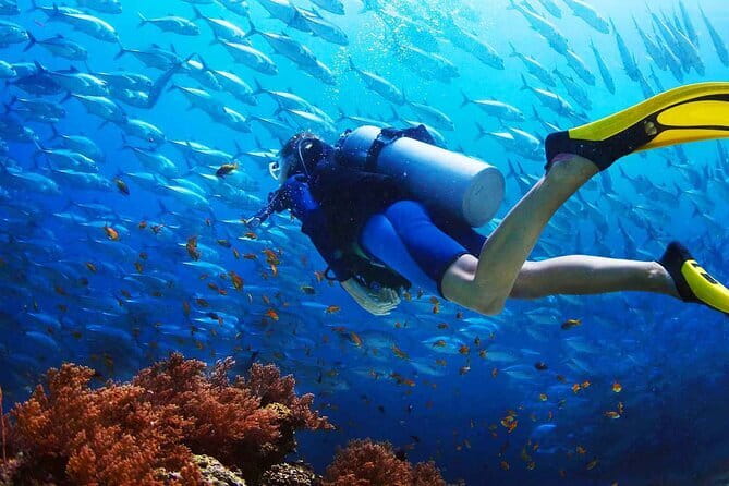 2 Fun Dives in Racha Yai or Noi for Certified Divers - Gear and insurance: the “boring” stuff that prevents stress