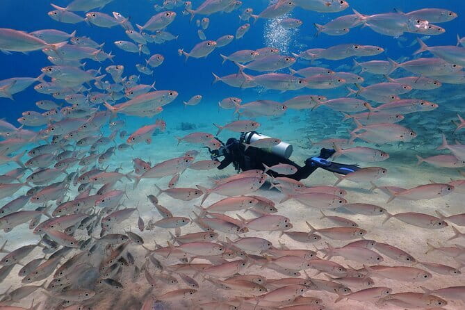 2 Fun Dives in Racha Yai or Noi for Certified Divers - Koh Racha Yai: what this reef route is likely to feel like