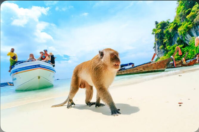 2x Snorkelling Phi Phi, Maiton, Maya Bay, khai islands tour - Pileh Bay: Emerald Lagoon Snorkeling in a Natural Bowl