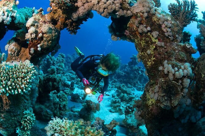 3 Fun Dives in Phi Phi islands for Certified Divers - Key Highlights You’ll Actually Feel During the Day