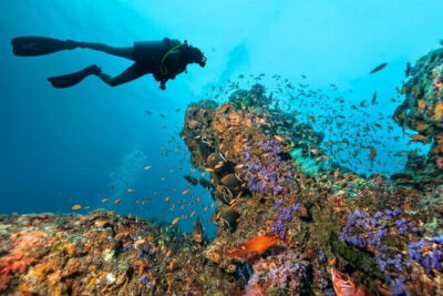 3 Fun Dives in Phi Phi islands for Certified Divers - The Boat Day Rhythm: Meals, Snacks, and a Pace That Doesn’t Fry You