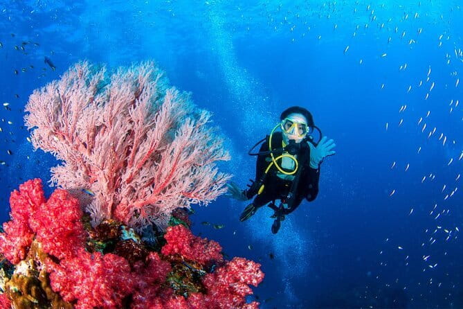 3 Fun Dives in Phi Phi islands for Certified Divers - Budget Checklist: Fees, Computers, and the Small Extras