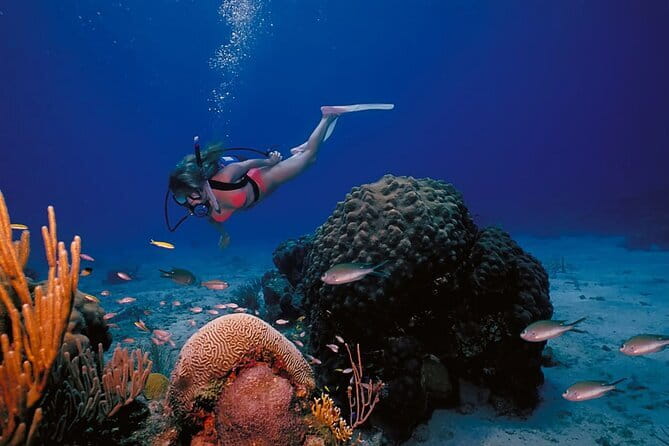3 Fun Dives in Racha Yai and Racha Noi for Certified Divers - Key points to know before you go