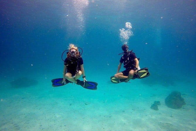 3 Fun Dives in Racha Yai and Racha Noi for Certified Divers - What you’ll likely see underwater around Racha