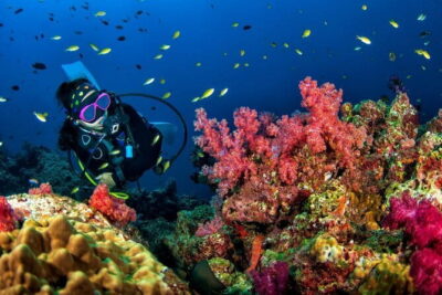 3 Fun Dives King Cruiser Wreck and Koh DokMai for Certified diver - Morning logistics: Chalong Pier, early start, and food on the water