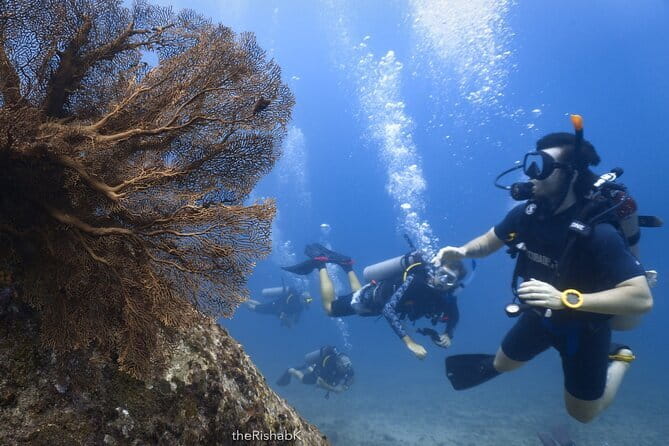 3 Fun Dives King Cruiser Wreck and Koh DokMai for Certified diver - Small groups and instructor attention: why the day feels controlled