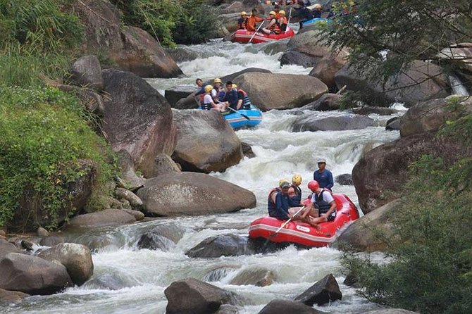 5 km White Water Rafting + ATV 1 Hour Tour From Phuket - Temple breaks at Wat Suwan Kuha and the Monkey Cave