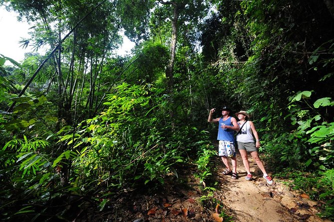 5km Rafting, ATV & Flying Fox Adventure Trip - Price and logistics: $67.24 value, pickups, and what to bring