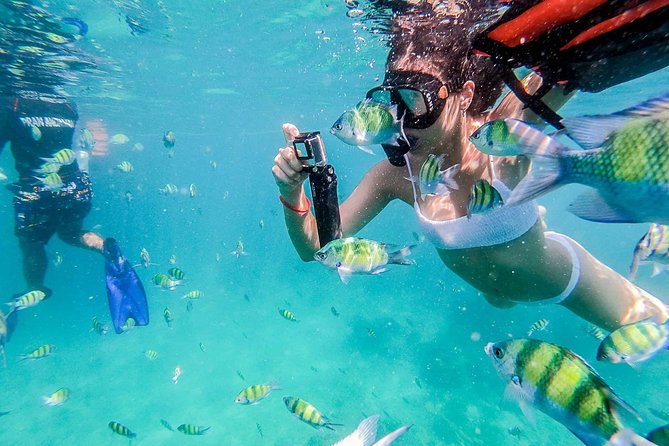 All-in Phi Phi, Maiton, MayaBay, Khai, Bamboo islands Tour - All-in Speedboat Value: What $74.95 Really Buys