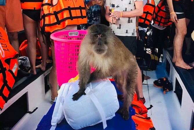 All-in Phi Phi, Maiton, MayaBay, Khai, Bamboo islands Tour - Getting from Phuket to the Pier Without Stress