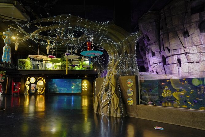Aquarium Phuket and AR Trick Eye Museum Combo Tickets - Aquaria Phuket Under Central Phuket Floresta: What You’ll Actually See