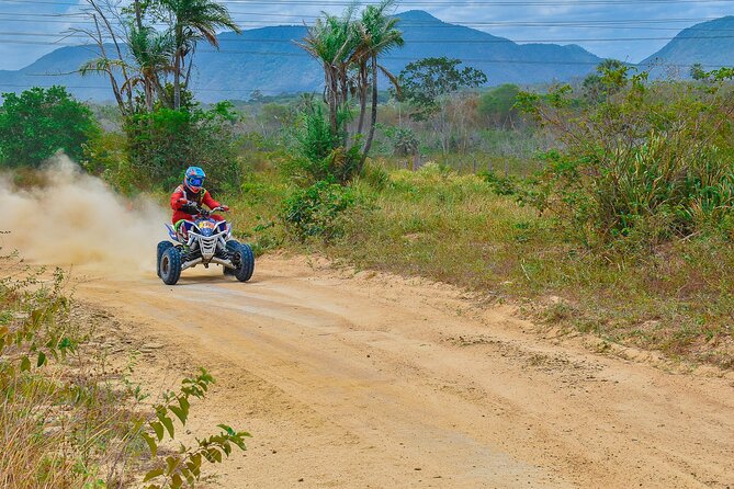 ATV Big Buddha Phuket Viewpoint - Why an ATV “Big Buddha viewpoint” stop works in Phuket