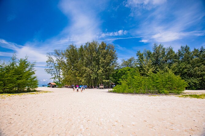 Bamboo Island and Phi Phi Island Full Day Tour From Phuket - Maya Bay: the movie-famous stop with a 30-minute limit