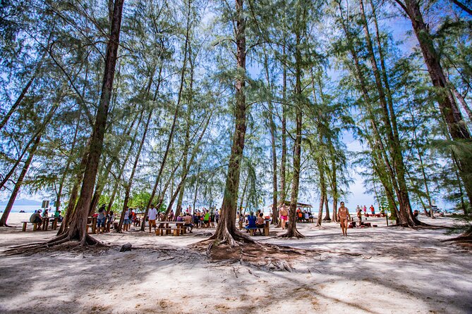 Bamboo Island and Phi Phi Island Full Day Tour From Phuket - Monkey Beach: quick photos and quick exits