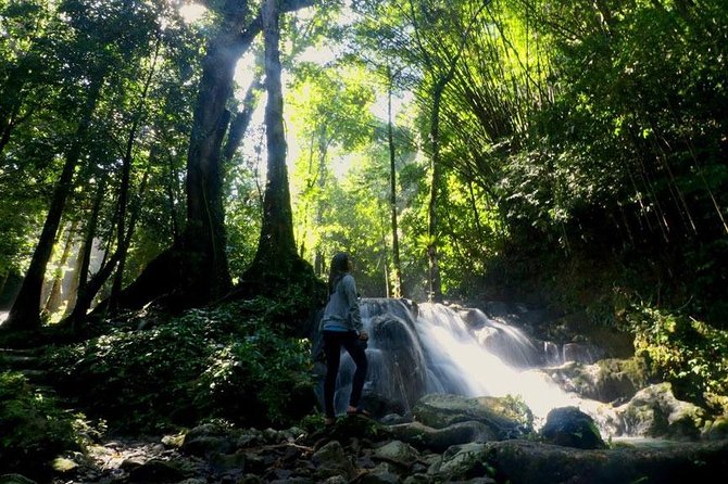 Bamboo Rafting and Jungle Tour From Phuket - Lunch in the Jungle: Thai Food That Helps the Whole Day Work