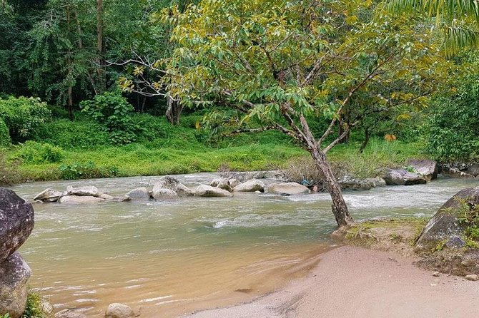 Bamboo Rafting, ATV Riding and Jungle Tour From Phuket - Bamboo rafting through mangroves and estuaries