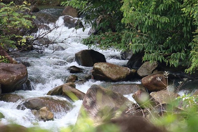 Bamboo Rafting, ATV Riding and Zip Line Tour From Phuket - Lunch, fruit, and the small comforts between activities