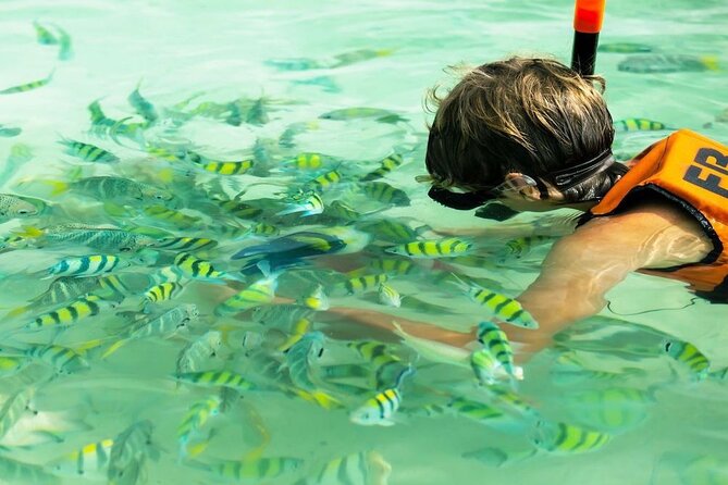 Banana Beach Snorkeling Adventure: A Day in Paradise - Getting There: Phuket Pickup to Koh Hey by Speedboat
