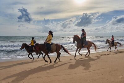 Beach Horse Riding Activity in Phuket - Where You Start: Kamala Horse Riding Club (And Why It Helps)