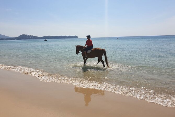 Beach Horse Riding Activity in Phuket - Group Size and Attention: Why This Feels Different From Big Tours