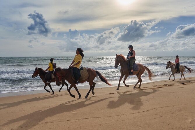 Beach Horse Riding Activity in Phuket - Where You Start: Kamala Horse Riding Club (And Why It Helps)