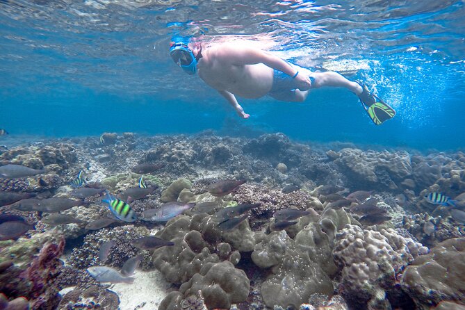 Best of Phi Phi Islands Snorkeling Tour from Phuket - Royal Phuket Marina to Ko Phi Phi: How the Morning Sets the Tone
