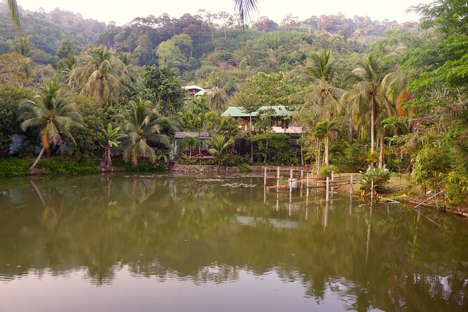 Choose Your Own Dishes: Half-Day Thai Cooking Class in Phuket - Choosing Your Four Dishes in Phuket