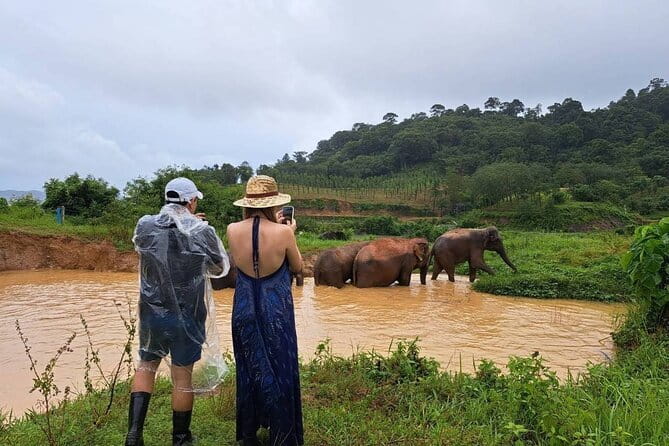 Elephant Nature Experience with Lunch at Bukit Elephant Park - Where You Meet and How Timing Works: Two Half-Day Windows in Phuket