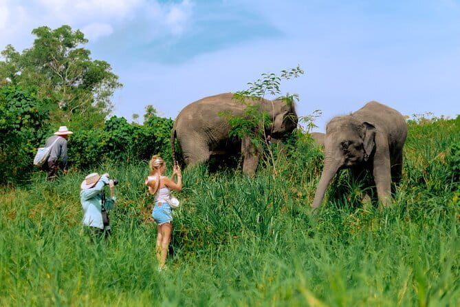 Elephant Nature Experience with Lunch at Bukit Elephant Park - Is This the Right Fit for Your Phuket Trip?