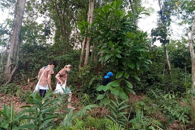 Elephant Sanctuary Small Group Tour in Phuket - Key things I’d plan around