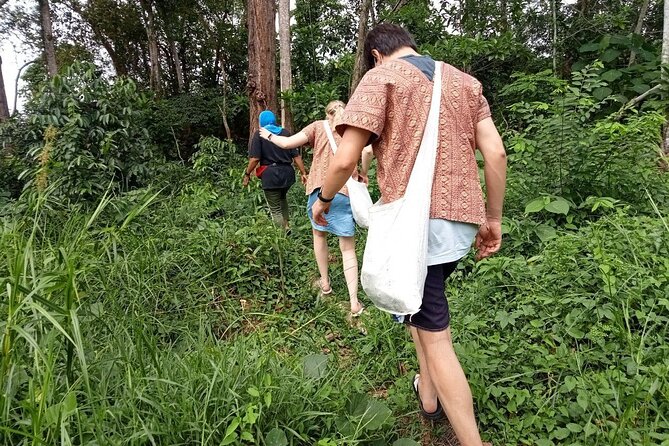 Elephant Sanctuary Small Group Tour in Phuket - Elephant Care Begins Before You Ever See Elephants