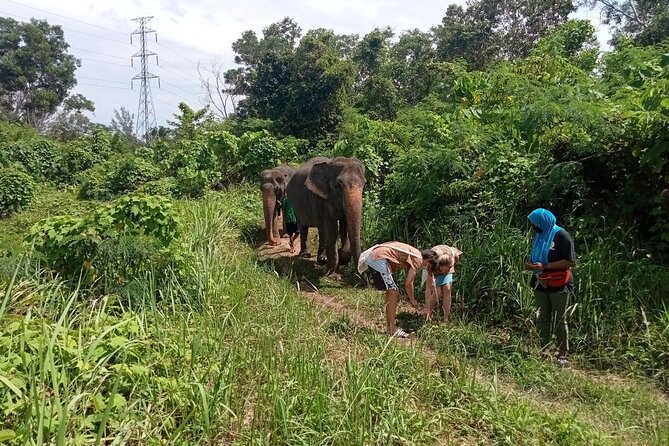 Elephant Sanctuary Small Group Tour in Phuket - Price and What You’re Really Paying For (Plus What’s Extra)