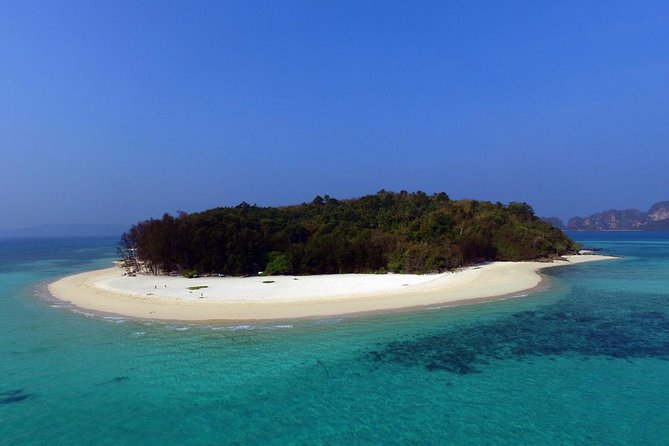 Exclusive Small Group Phi Phi Islands Sunrise or Day Trip - Monkey Beach: A Fast Look at Real Nature
