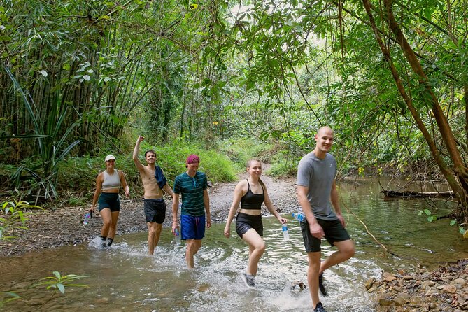 Explore Khao Sok: Jungle Safari in Thailand’s Pristine Rainforest - Lunch at a jungle lodge: fuel for the river portion