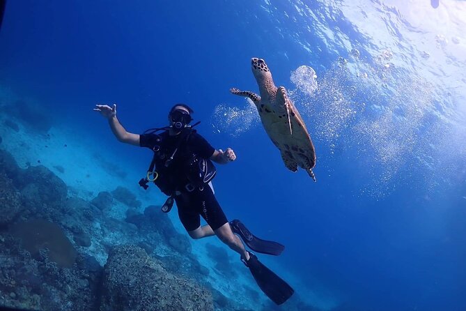 Explore Scuba Diving at Racha Yai Island from Phuket - Key Highlights You’ll Care About