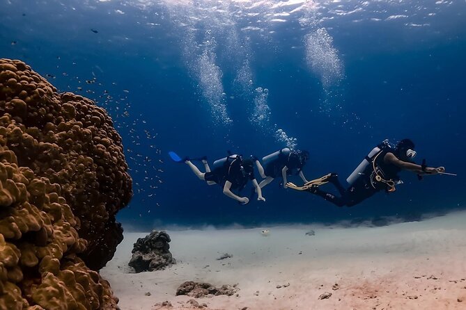 Explore Scuba Diving at Racha Yai Island from Phuket - The Boat Day on MV Andaman Seafarer 1 & 2: Food, Wi‑Fi, and Comfort
