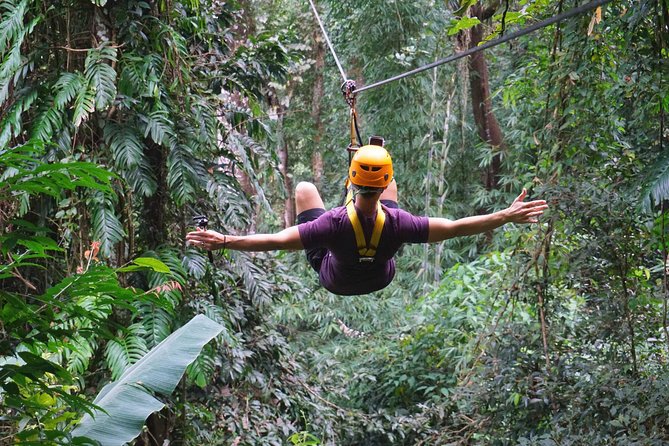 Flying Hanuman Zipline Adventure – Soar Through the Jungle! - Flying Hanuman: What You’ll See Over the Jungle