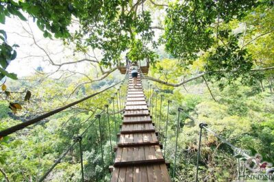 Flying Hanuman Zipline Adventure – Soar Through the Jungle! - Picking Your Course: 16 vs 28 Platforms and Optional Upgrades