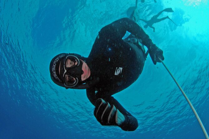 Freediving in Phuket - SSI - AIDA - Molchanovs - PADI - Certification Choice: SSI vs AIDA vs Molchanovs vs PADI