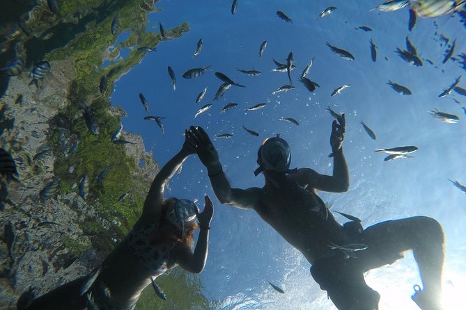 From Khao Lak : Full-Day Private Phi Phi Islands Speedboat Charter - Viking Cave: a 5-minute sightseeing stop that adds local flavor