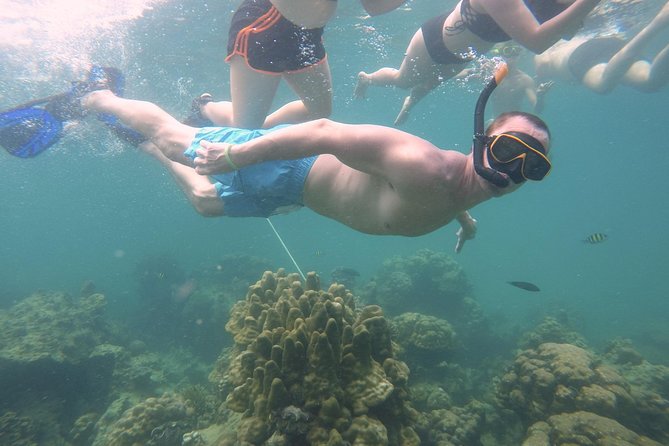 From Khao Lak : Full-Day Private Phi Phi Islands Speedboat Charter - Bamboo Island: the best place to slow down and actually enjoy the water
