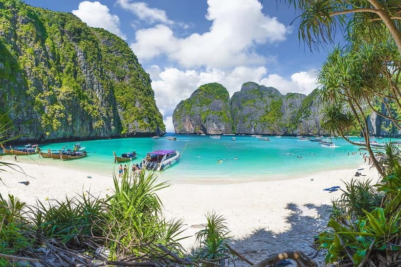 From Phuket: Phi Phi Islands Speedboat Tour - Snorkeling with rays and tropical fish: what to expect under the water