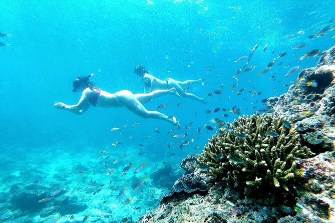 From Phuket: Phi Phi, Maya and Bamboo Islands Full Day Visit - Maya Bay and Loh Samah Bay: Famous Limestone, Plus a Reality Check