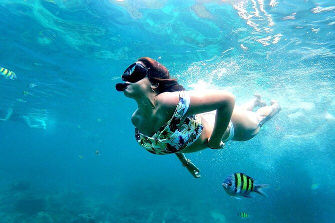 From Phuket: Phi Phi, Maya and Bamboo Islands Full Day Visit - Hotel Pickup, Timing, and What the Day Actually Looks Like