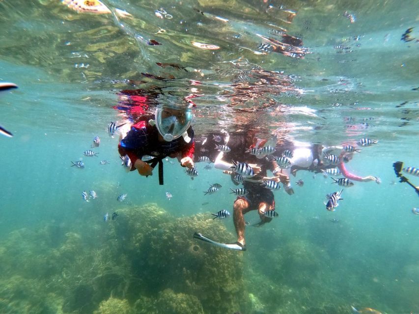 From Phuket: Phi Phi, Maya Bay, & Khai Islands Premium Trip - Khai Islands: the payoff sandbar and the calmer end of the route