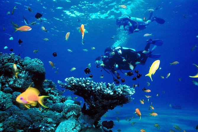 Full-Day Beginner Scuba Course with Private Tuition, Racha Yai - Koh Racha Yai is a smart first underwater classroom