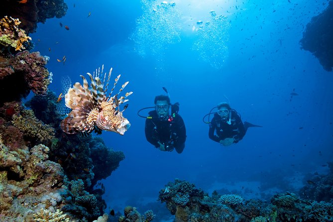 Full-Day Beginner Scuba Course with Private Tuition, Racha Yai - Stop 2: the SSS Phuket Freedive & Surf Center check-in rhythm