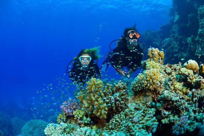 Full-Day Beginner Scuba Course with Private Tuition, Racha Yai - Equipment, meals, and the camera rule