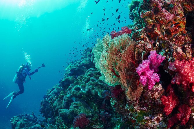 Full-Day Beginner Scuba Course with Private Tuition, Racha Yai - Boat ride comfort: where the day can wobble
